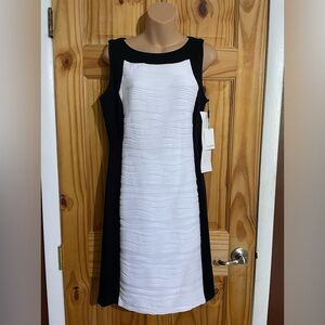 Calvin Klein black and white dress size 8 NWT